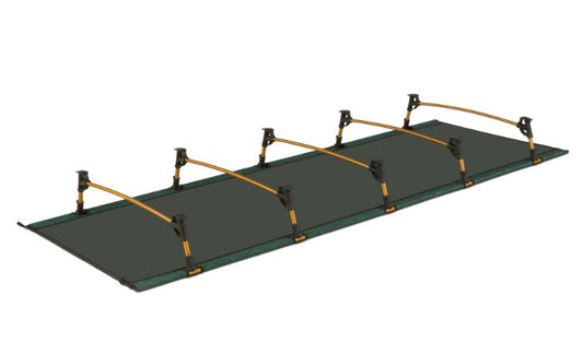 Lowdown Cot - Fern