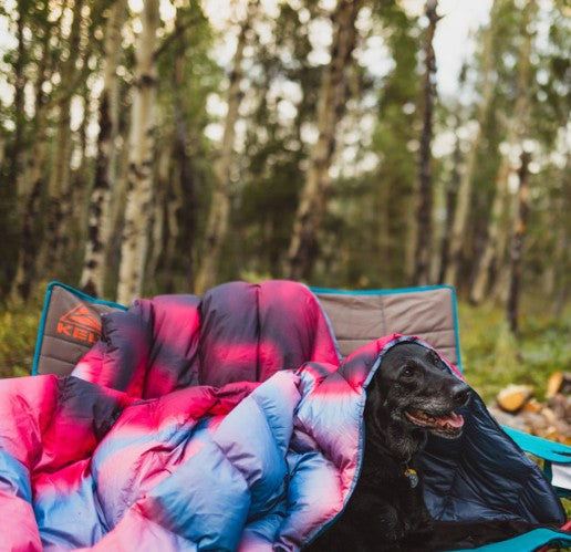 Galactic Down Blanket