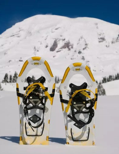 Montane 27 Women's