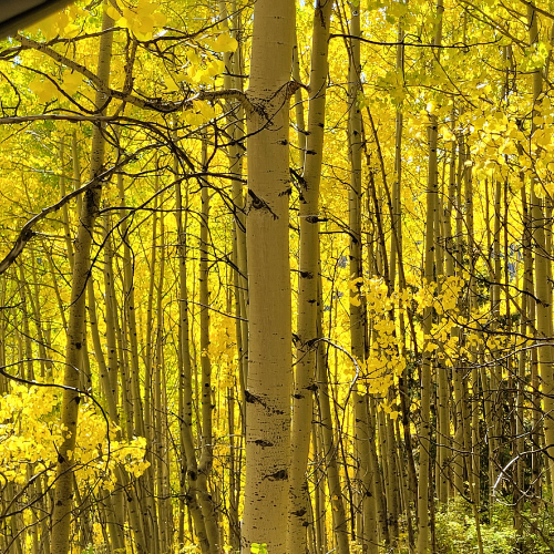 The Ultimate Guide to Fall Outdoor Recreation and Gear in Durango