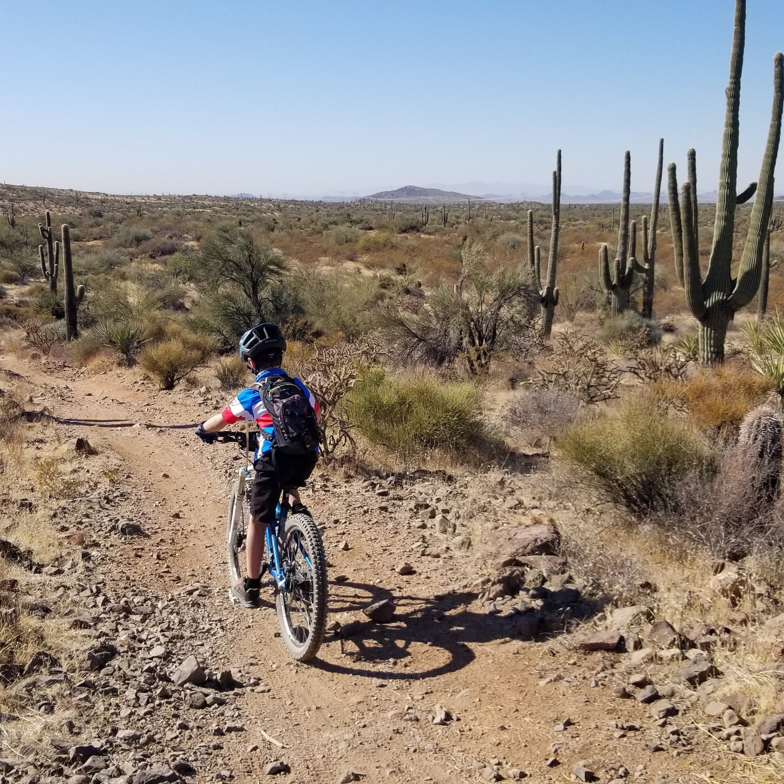 Stay warm at Thanksgiving: Warm-Weather Destinations