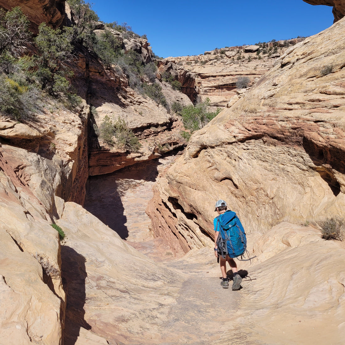 How to book a backcountry campsite: A brief primer