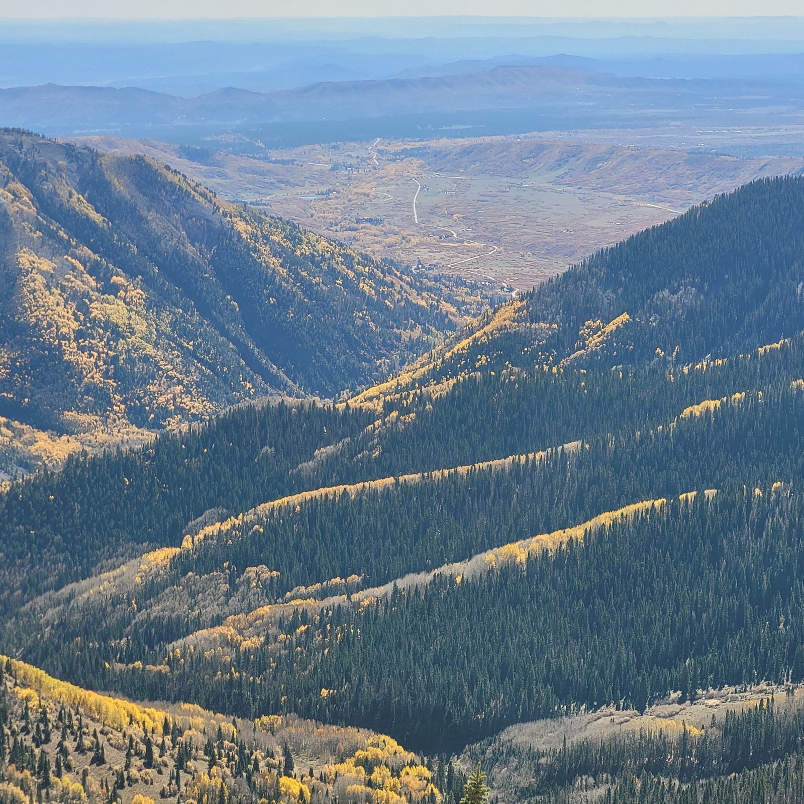mountains with golden aspens