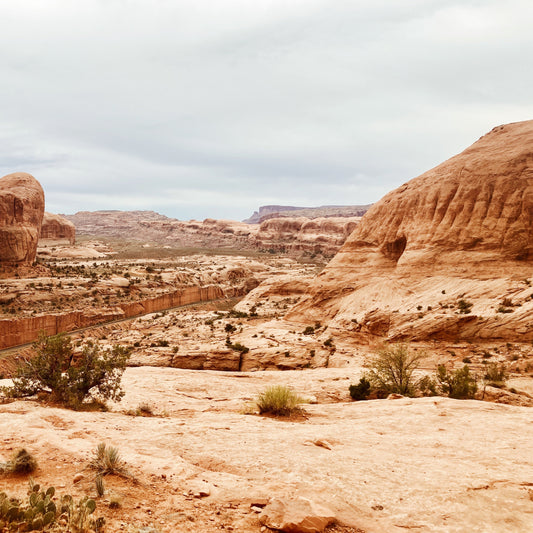Get involved: Local organizations that support public lands