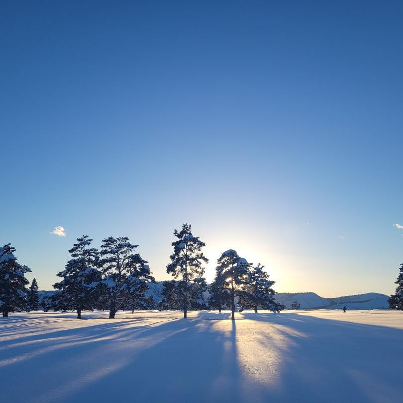 Snowshoeing in Durango: Where to go and what to bring