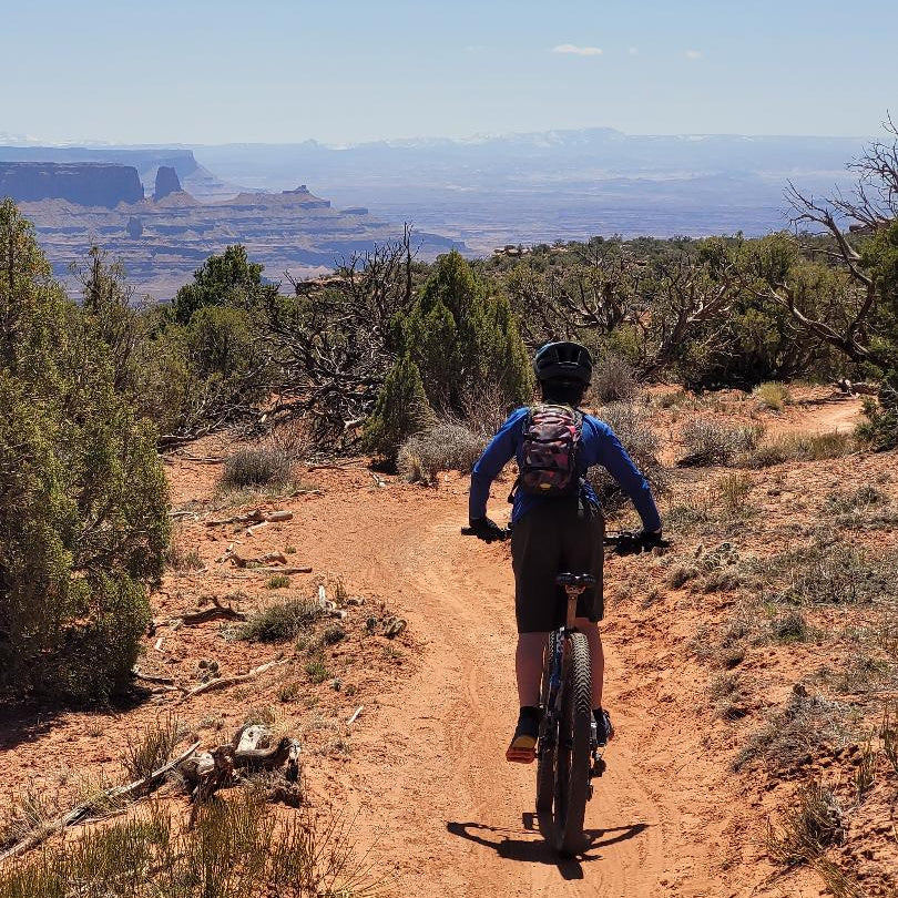 Mountain bike suspension: How much is enough?