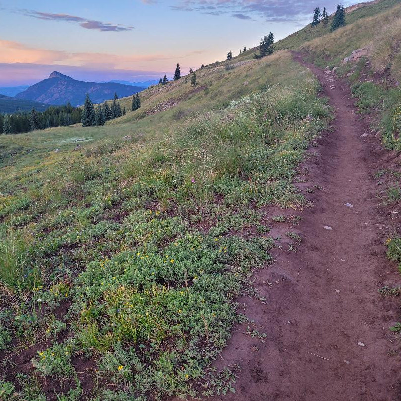 Trail running shoes and running vests: Gear you need to run further