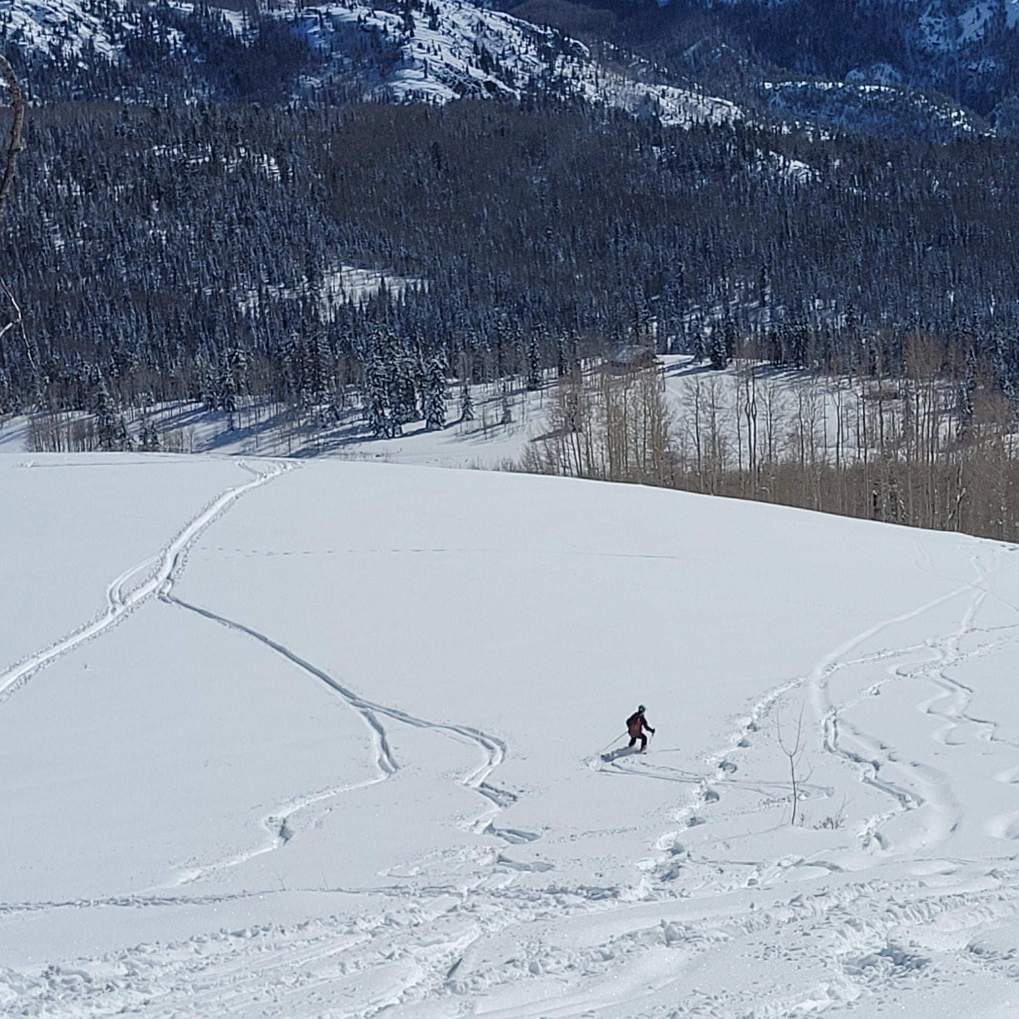 February in the San Juans: How to Get Outside Without Buying New Gear
