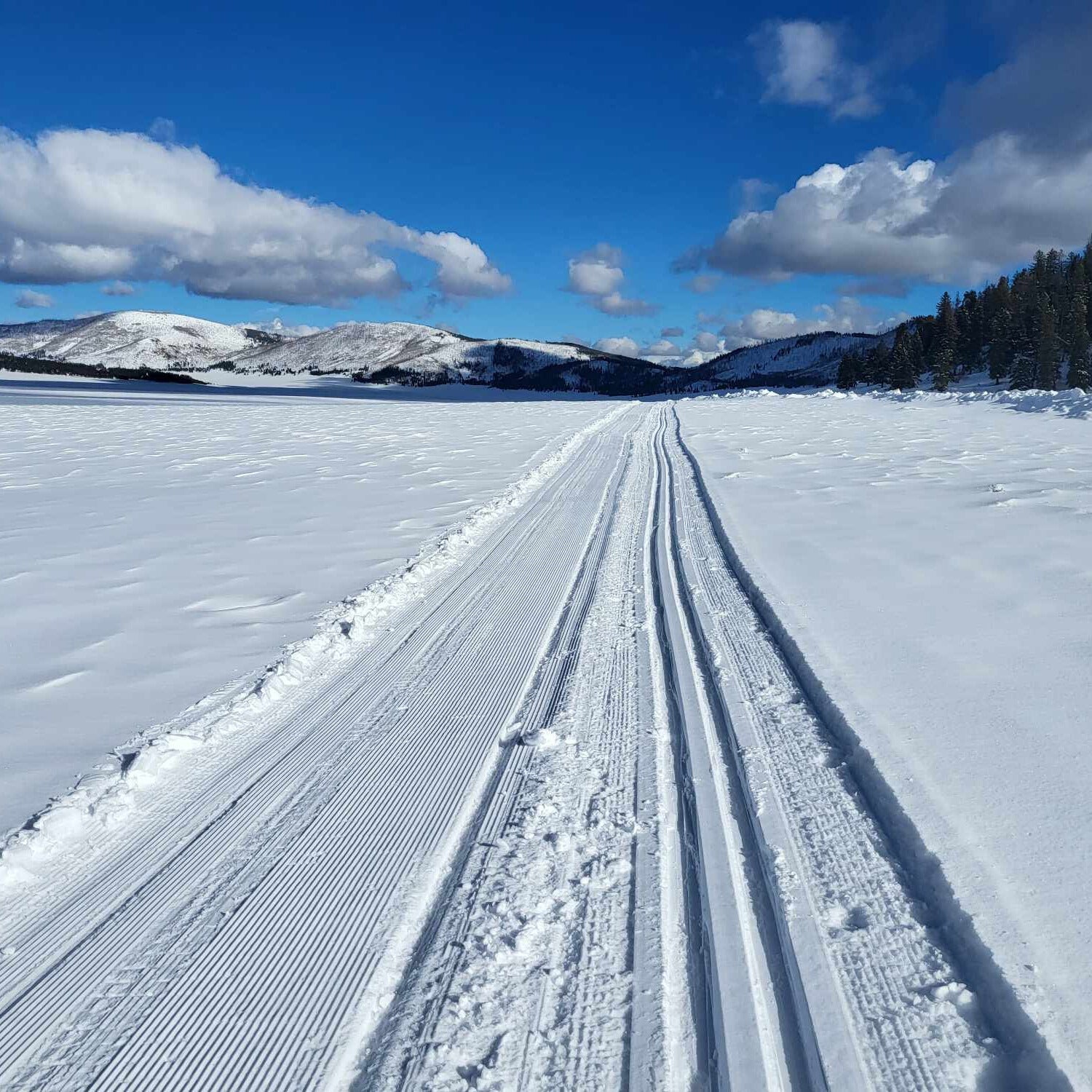 Cross-country Skiing in Valles Caldera National Preserve