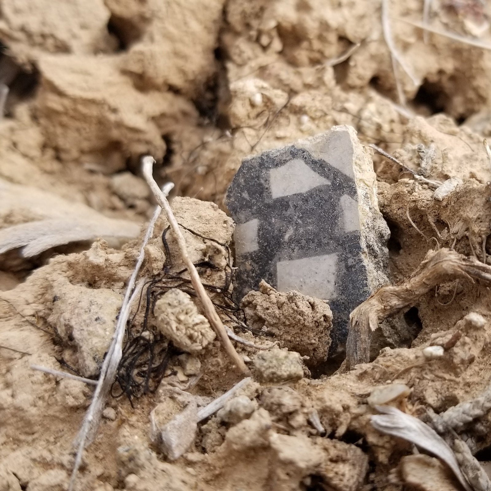 Yucca House: Our Hidden National Monument