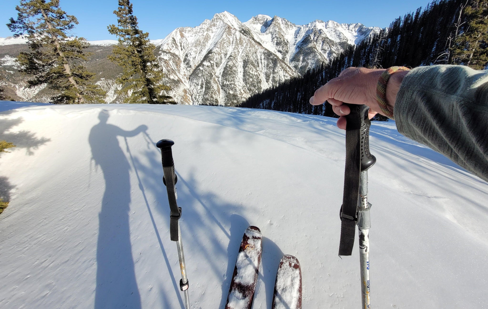 SKI POLES