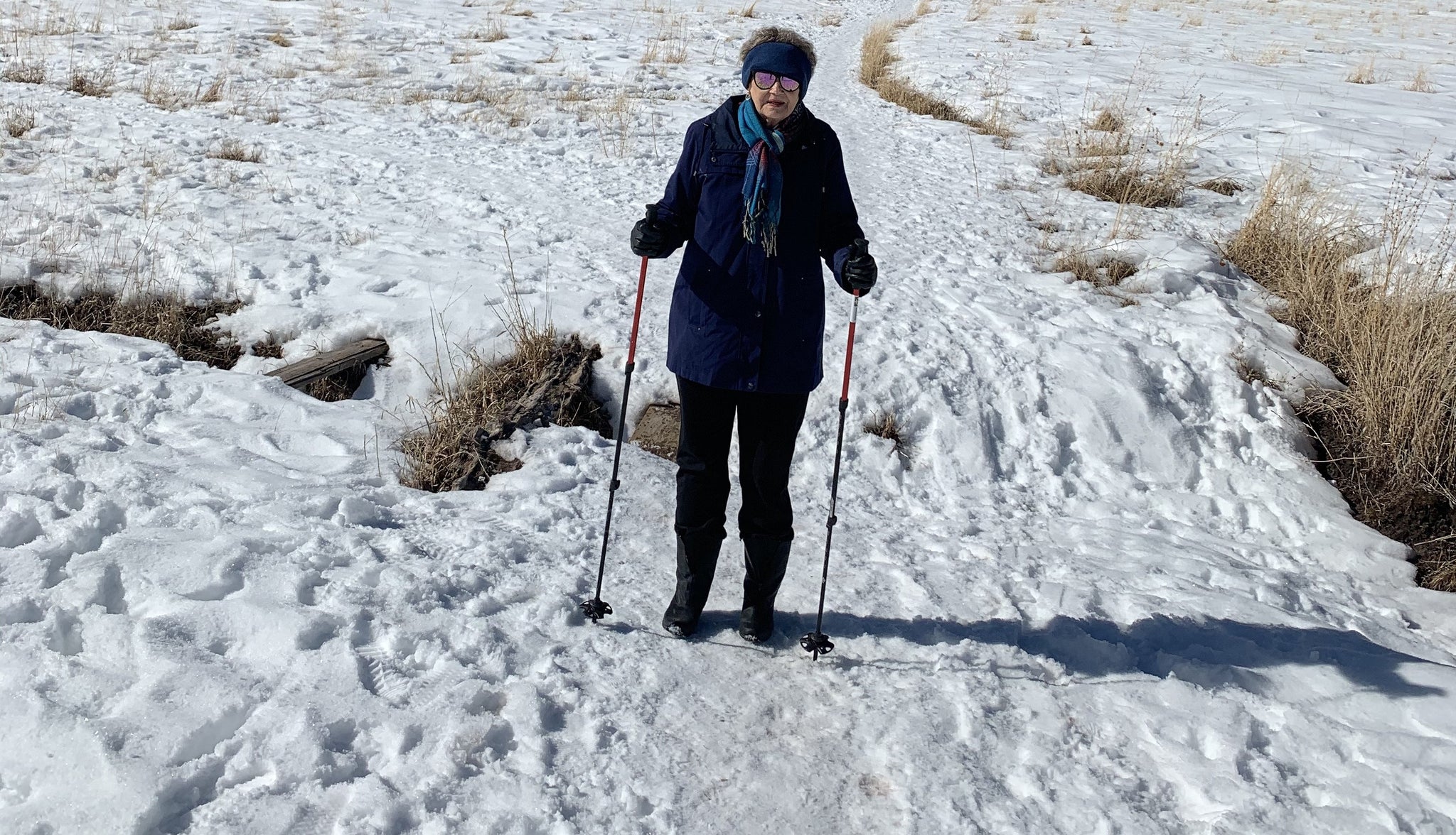 TREKKING POLES