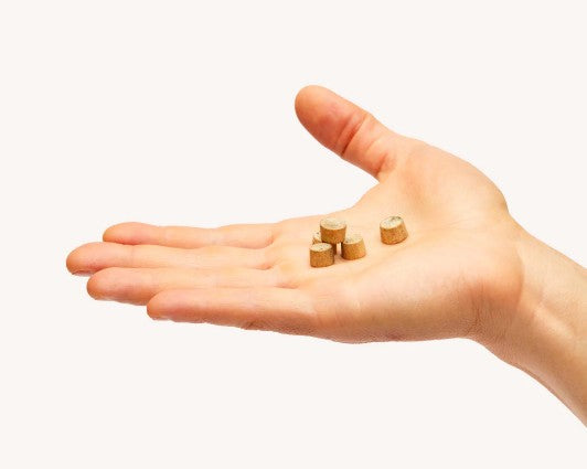 PACT Bathroom Kit - Gold