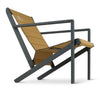 Rad-Arondack Chair - Wood Thrush