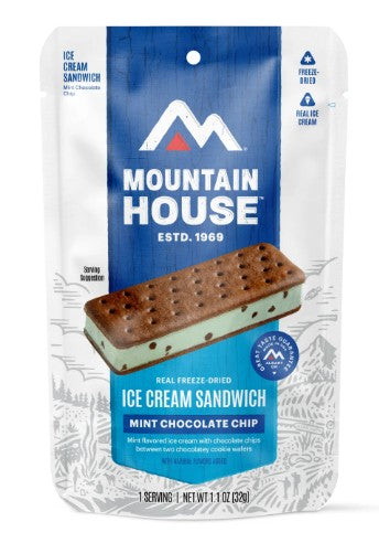 Mint Chocolate Chip Icecream Sandwich
