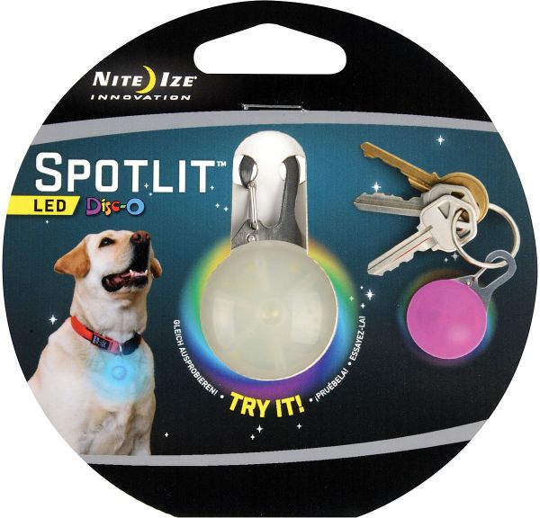 Spotlit Dog - Disco