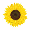Sunflower Sticker