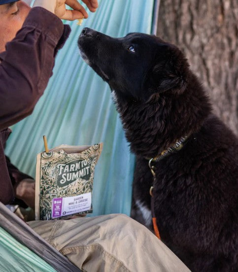 Garden Mac &amp; Cheese