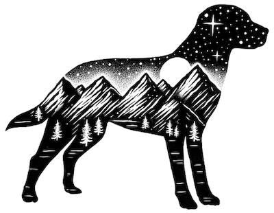 Adventure Dog