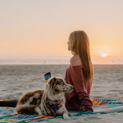 Adventure Sheet - Summer