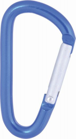 50mm Accessory Carabiner