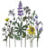 Wildflower Sticker